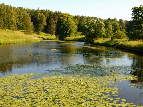 Летняя Славянка