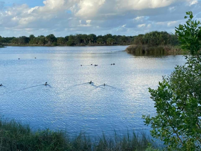 Разрезая воду...