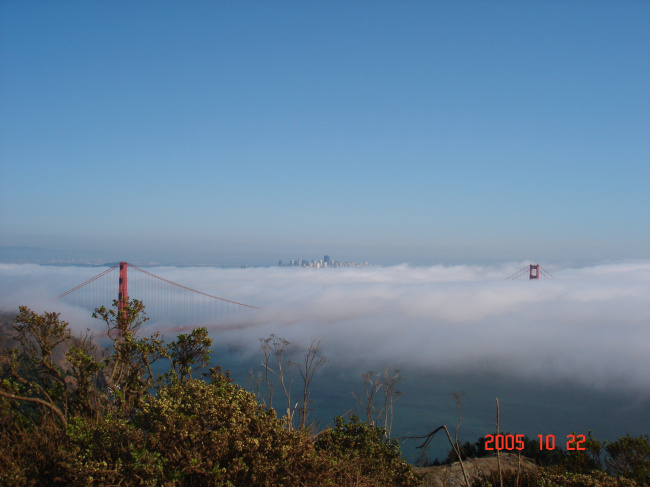 Сан-Франциско. Почему огромное облако решило спуститься с небес?