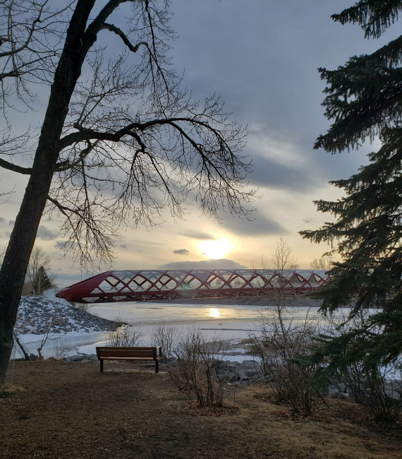 Скамейка с видом на мост