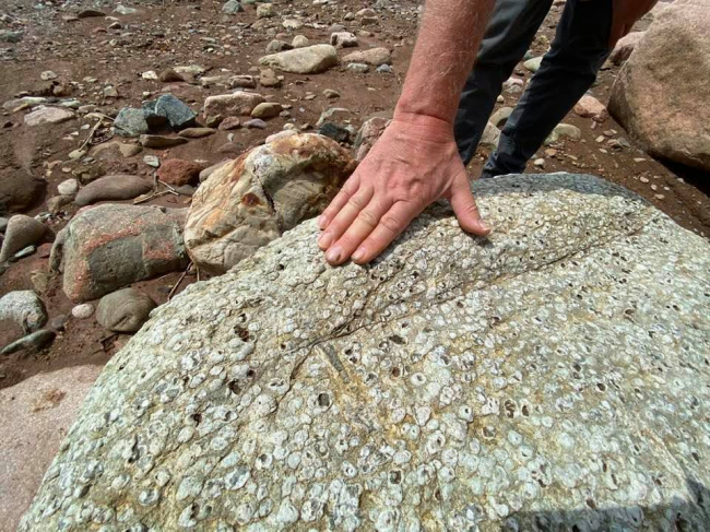 Археологические находки