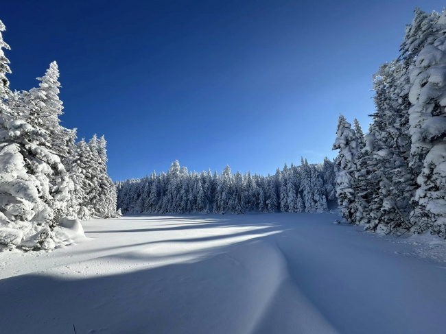 Снежное безмолвие