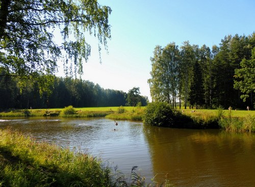 Павловск, август