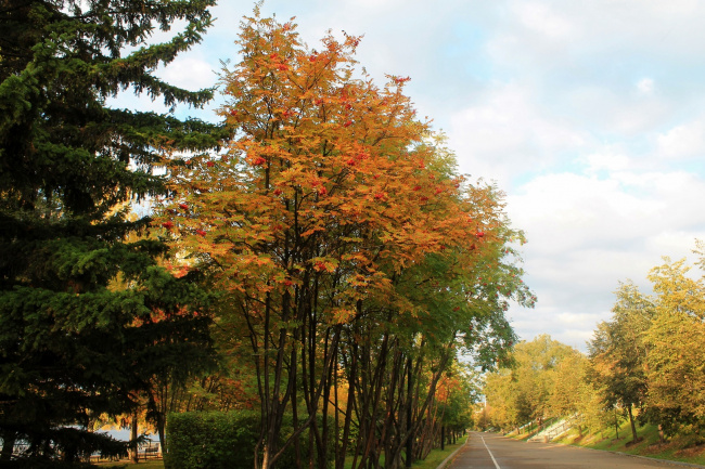 Городской сквер