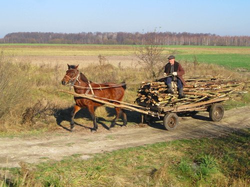 Лошадка, везущая хворосту воз..