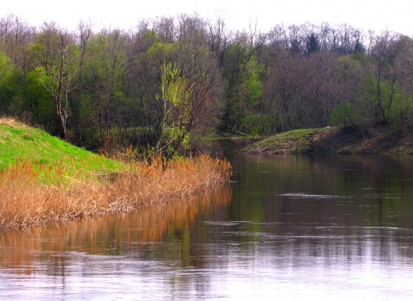 Река Дубна в среднем течении