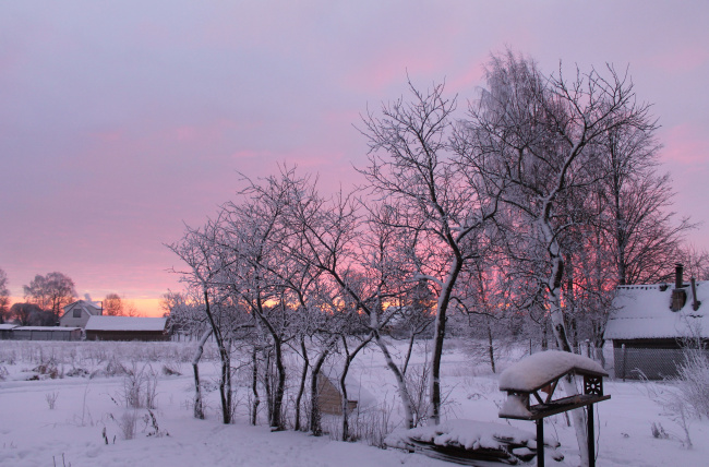 зима в Ленинградской области