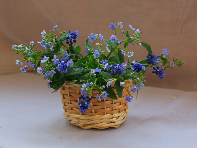 букетик с голубыми цветами