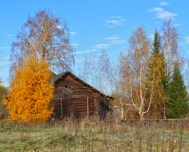 Осень на задворках