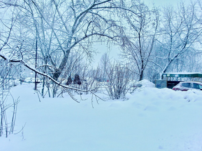 Зимние московские будни