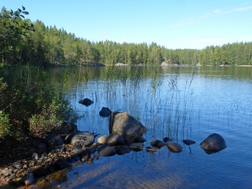 в Реповеси