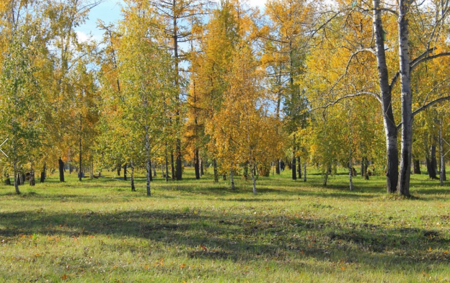 Летний день