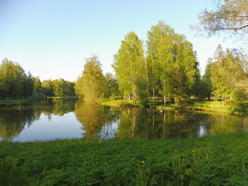 в Гатчинском парке