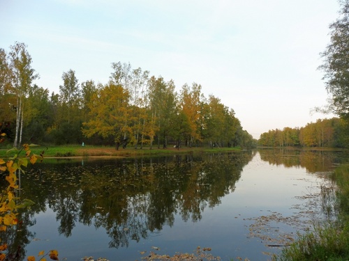 Английский парк