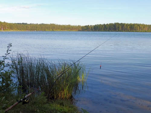 Озеро Ольховое