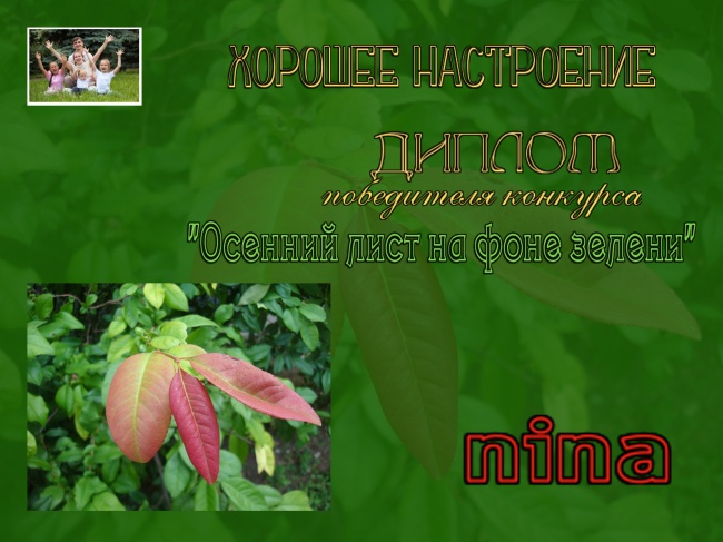 ДИПЛОМ победителю конкурса "Осенний лист на фоне зелени"