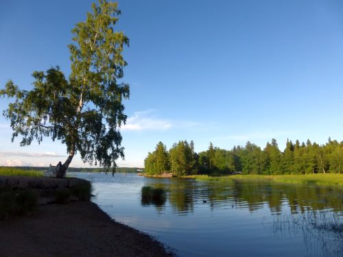 В парке Монрепо