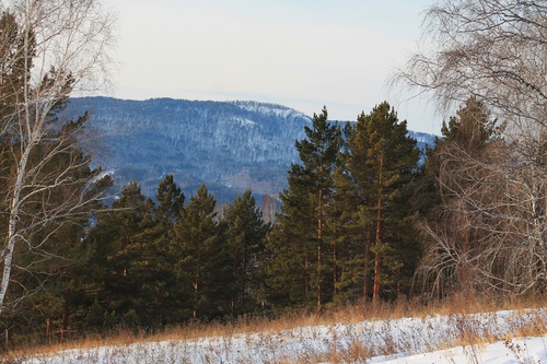 В Эко-парке