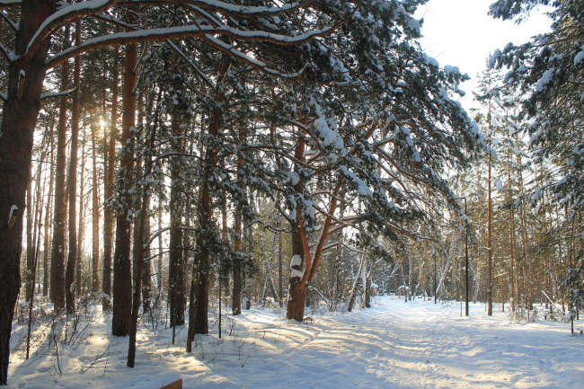 В Экопарке