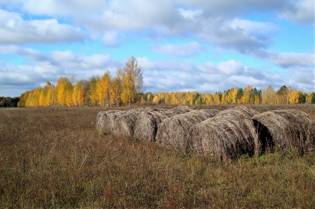 Запасы