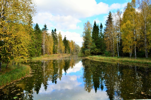 Гатчинский парк2201