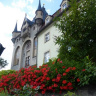 Замок и цветы