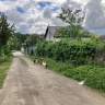 Весна