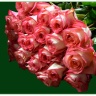 «ДАРИТЕ ЖЕНЩИНАМ ЛЮБОВЬ…»     работа  «Дарите женщинам цветы!»  автор sinicza.nina