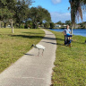 Дорожки во Флориде предназначены для ибисов