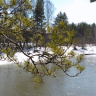 Река Серга в начале декабря