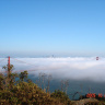 Сан-Франциско. Почему огромное облако решило спуститься с небес?