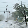 Утро Флориды после урагана