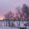 зима в Ленинградской области