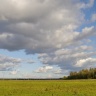 Облака над полем