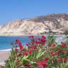 Кипрский пляж. Цветы на берегу.