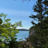 Берег канадского озера Чип