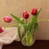 букетик розовых тюльпанов