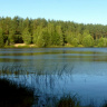 Лесное озеро