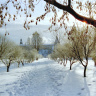 Зимой во Пскове