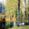 Осень в Михайловском