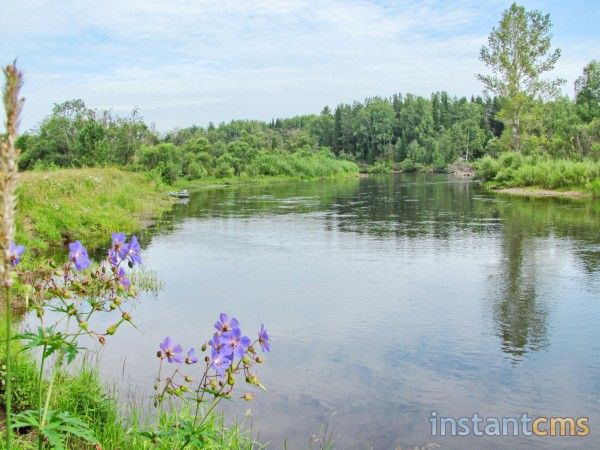 Путешествие речное