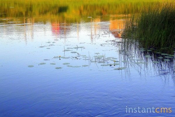 Водная живопись