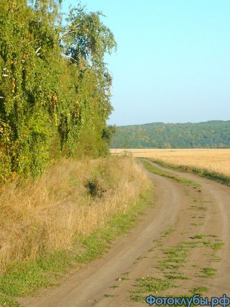 Проходит снова осень по земле...