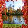 Все цвета осени (в парке Ораниенбаума)