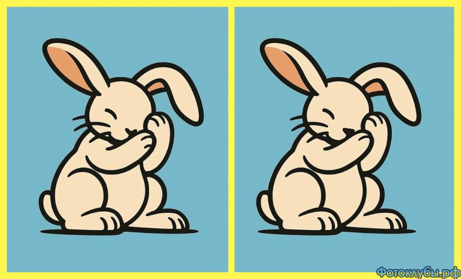 Найдите отличия