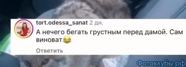 Как вам такое?..