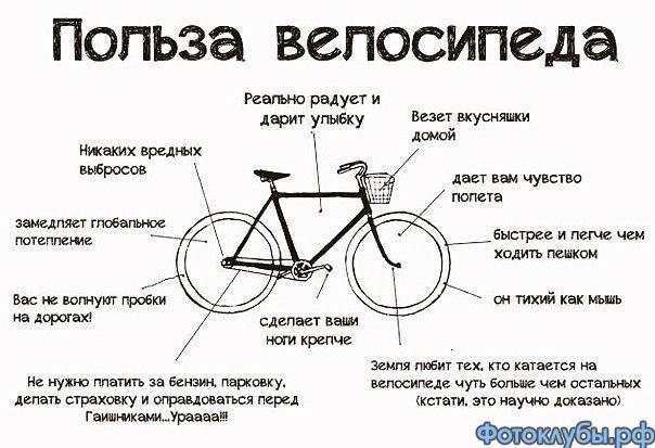 На велосипеде и пешком.