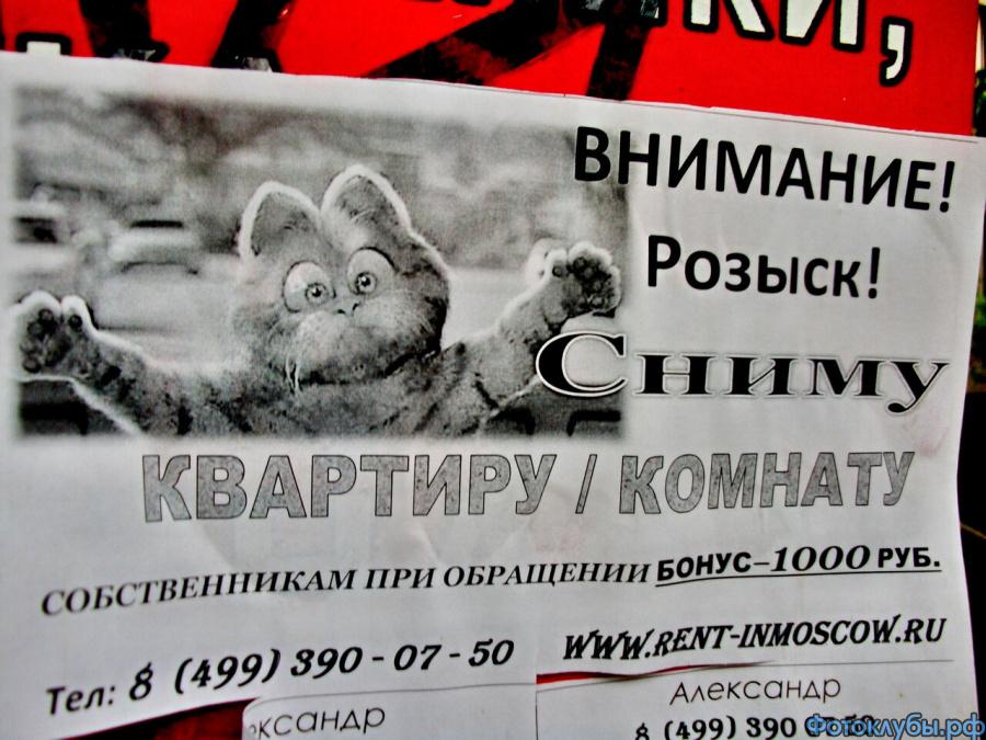 Улыбка ..."строить и жить помогает..."
