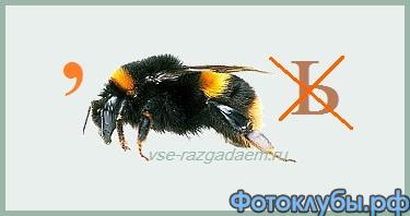 Ребусы на школьную тему