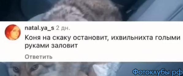 Как вам такое?..